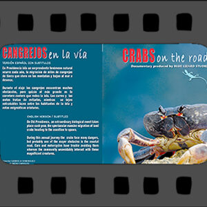 Cortometraje LA GRAN MIGRACION DEL CANGREJO NEGRO
