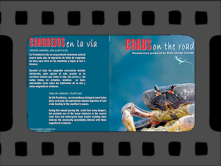 Cortometraje LA GRAN MIGRACION DEL CANGREJO NEGRO